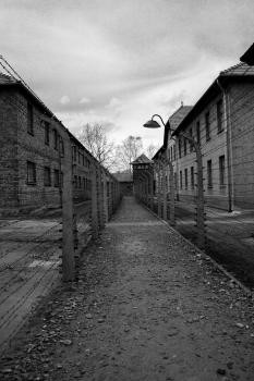 Történelmi kirándulás - Krakkó-Auschwitz 2019
