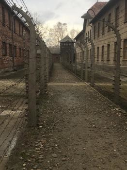 Történelmi kirándulás - Krakkó-Auschwitz 2019